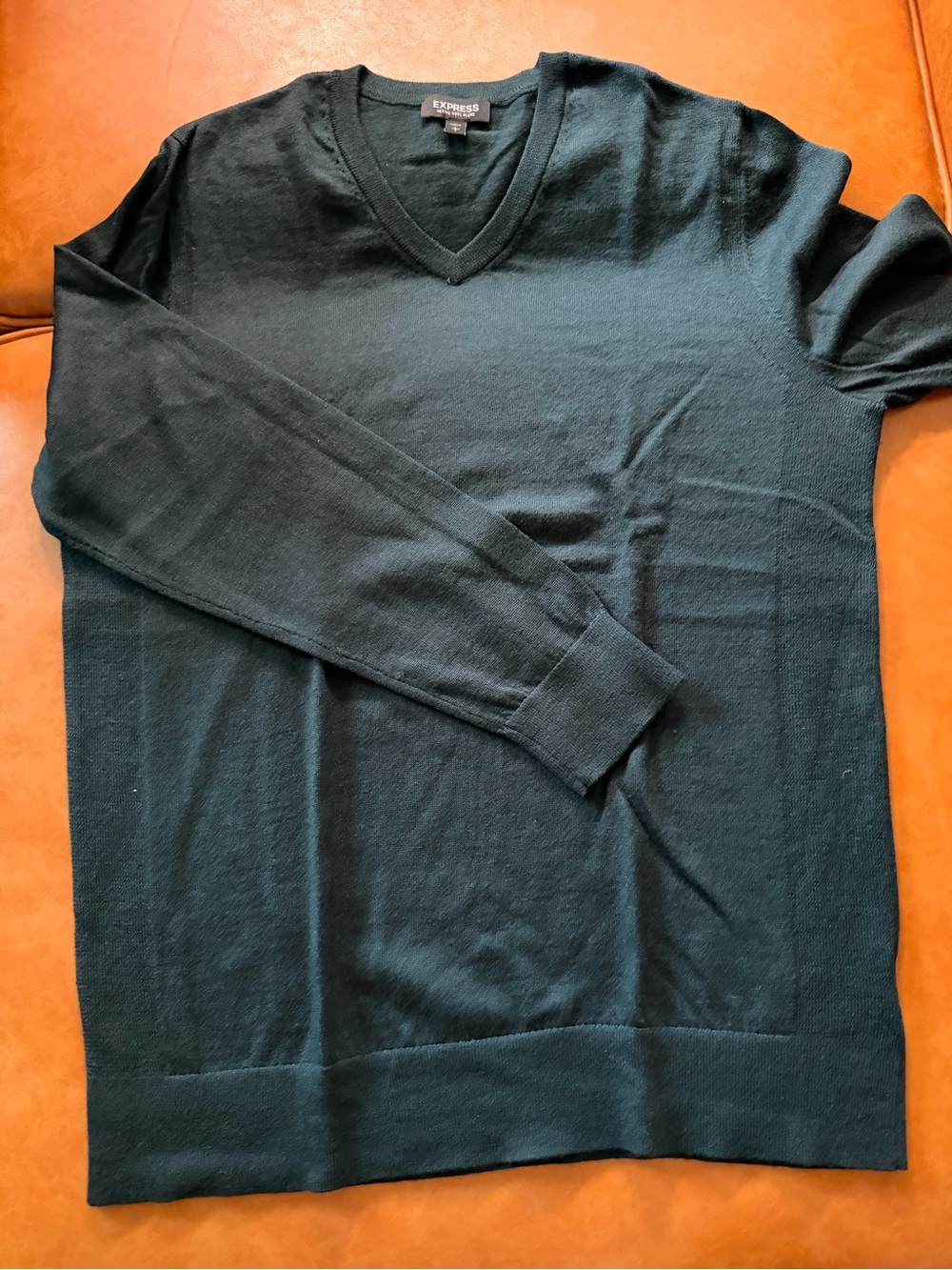 Express Men’s Forest Green V-Neck Sweater